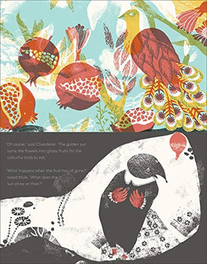 Mole in a Black and White Hole,Used