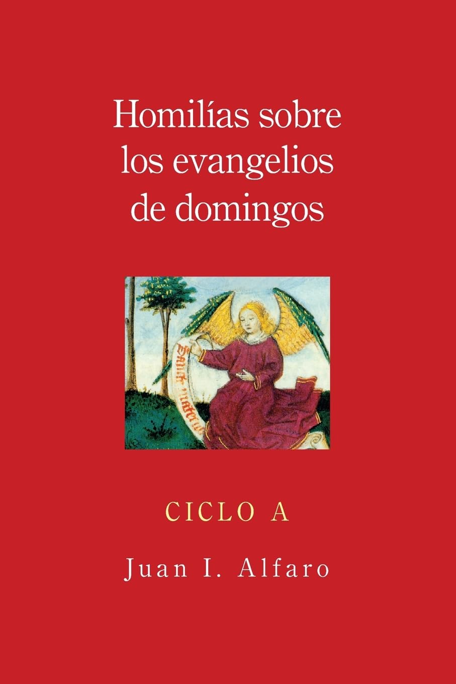 Homilias Sobre Los Evangelios De Domingos: Ciclo A (Spanish Edition),New