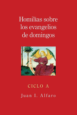 Homilias Sobre Los Evangelios De Domingos: Ciclo A (Spanish Edition),Used