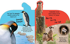 Discovery: Roar At The Zoo! (10Button Sound Books) (Image On Book May Slightly Vary)