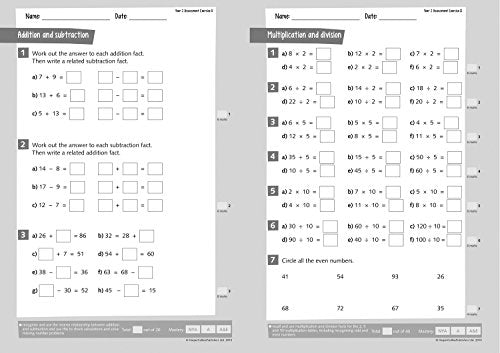 Busy Ant Maths  Year 2 Assessment Guide,Used