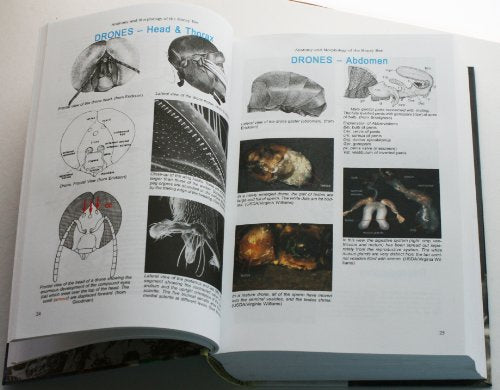 The ABC & XYZ of Bee Culture: An Encyclopedia Pertaining to the Scientific and Practical Culture of Honey Bees,Used