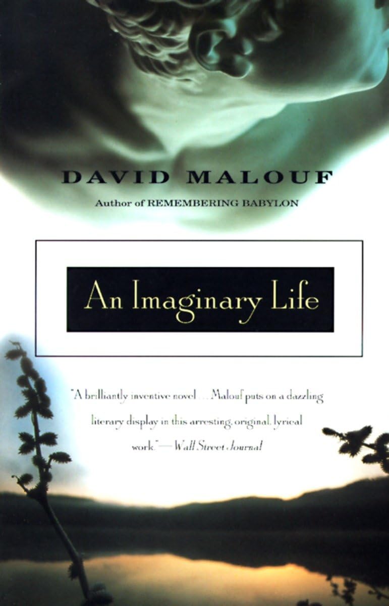 An Imaginary Life,New