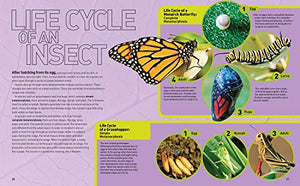 Ultimate Bugopedia: The Most Complete Bug Reference Ever (National Geographic Kids),Used