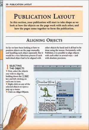 Essential Computers: Desktop Publishing,Used