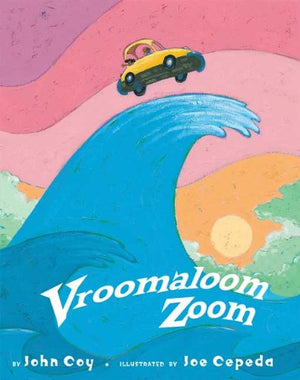 Vroomaloom Zoom,Used