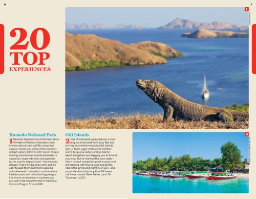 Indonesia 10 (Ingls) (Lonely Planet)