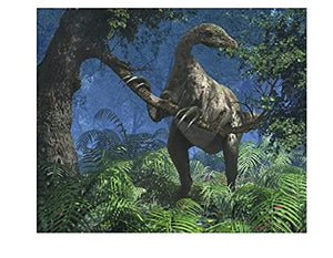 Therizinosaurus and Other Dinosaurs of Asia (Dinosaur Find),Used