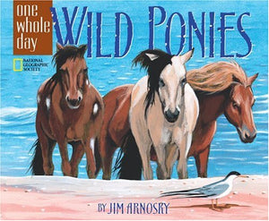 Wild Ponies: A One Whole Day Book,New