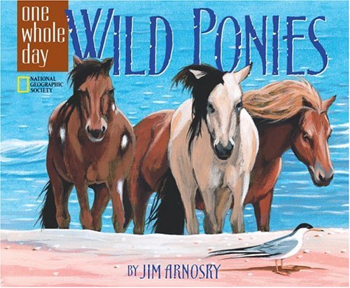 Wild Ponies: A One Whole Day Book,Used