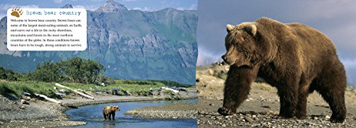 Kings of the Wild: Topaz/ Band 13 (Collins Big Cat),Used