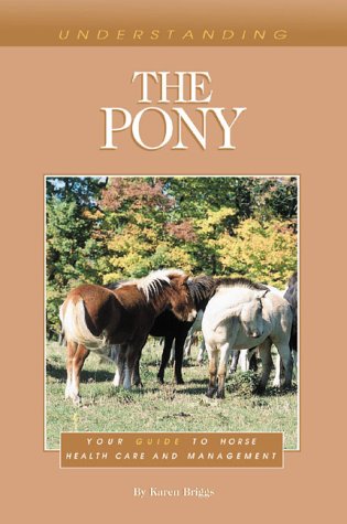 Understanding the Pony,Used