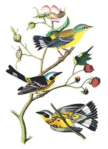 Audubon Bird Notebook,Used