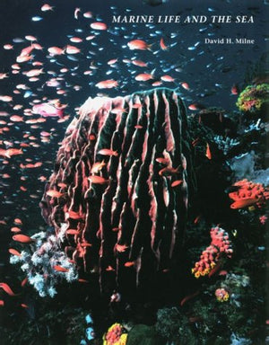Marine Life and the Sea (Wadsworth Biology Series),Used