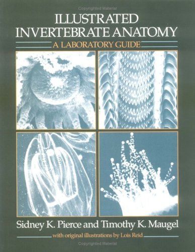 Illustrated Invertebrate Anatomy: A Laboratory Guide,Used