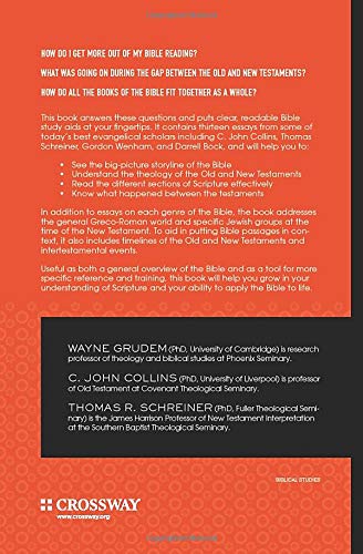 Understanding the Big Picture of the Bible: A Guide to Reading the Bible Well,Used