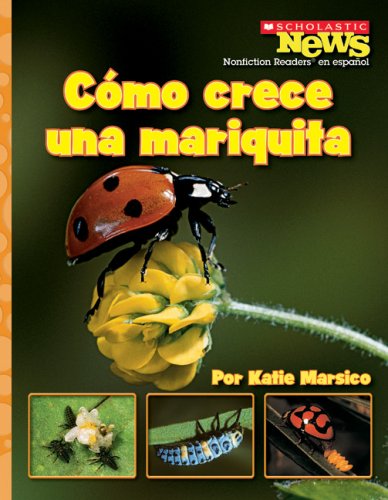 Como crece una mariquita / A Ladybug Larva Grows Up (Scholastic News Nonfiction Readers En Espanol) (Spanish Edition),Used