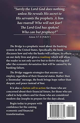 The Bridge: Moving from Present Chaos to Future Peace during the next Financial Crisis (Version),Used