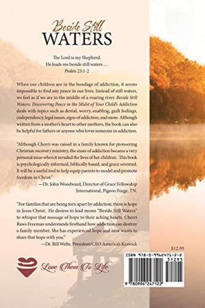 Beside Still Waters: Discovering Peace in the Midst of Your Child's Addiction,Used