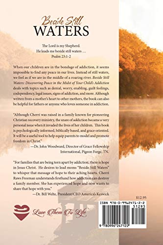 Beside Still Waters: Discovering Peace in the Midst of Your Child's Addiction,Used