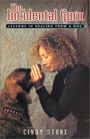 The Incidental Guru: Lessons in Healing from a Dog,Used