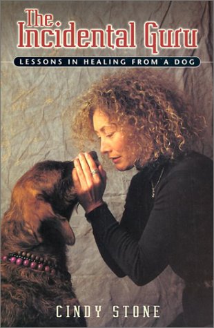 The Incidental Guru: Lessons in Healing from a Dog,Used