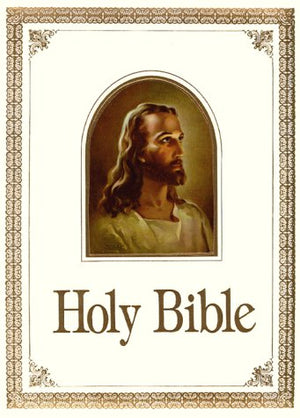 Bib Holy King James Version (Regency 700W),Used
