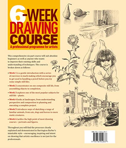 6Week Drawing Course