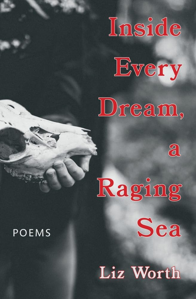 Inside Every Dream, a Raging Sea,New