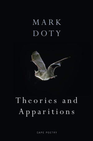 Theories and Apparitions,Used