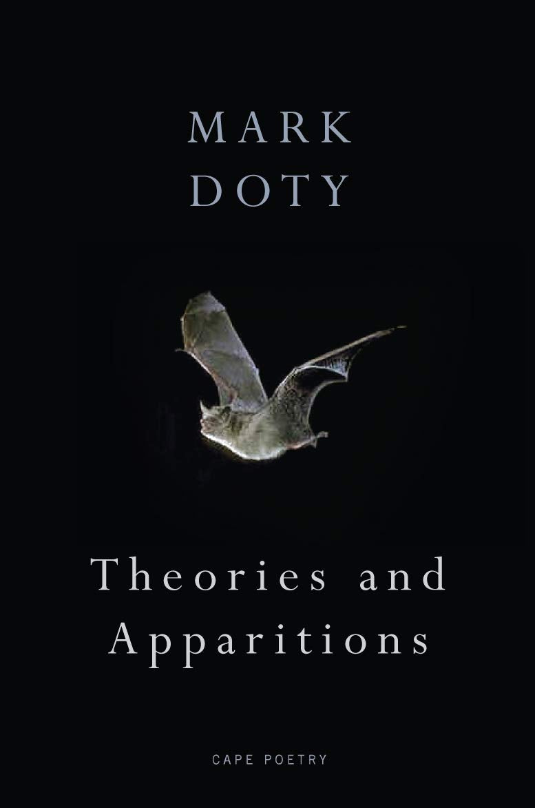 Theories and Apparitions,Used