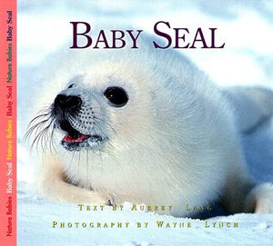 Baby Seal (Nature Babies),Used