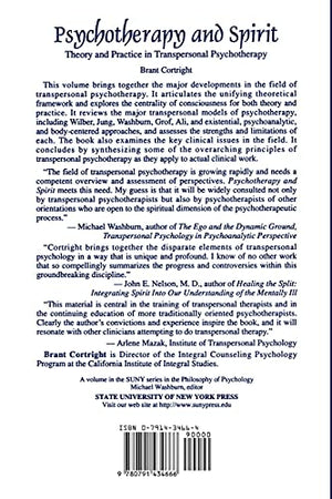 Psychotherapy and Spirit: Theory and Practice in Transpersonal Psychotherapy (Suny Series in the Philosophy of Psychology) (Suny,Used
