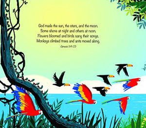 God's Great Plan Storybook Bible,Used
