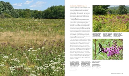 The Living Landscape: Designing for Beauty and Biodiversity in the Home Garden,Used