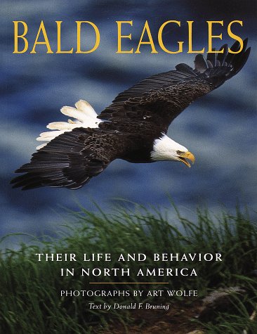 Bald Eagles: Their Life and Behavior in North America,New