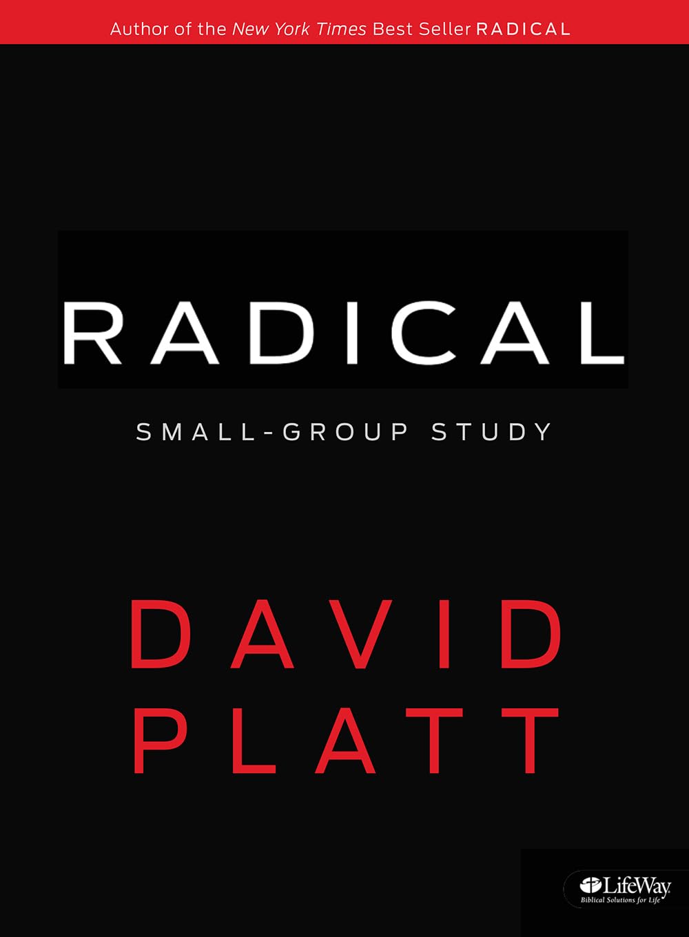 Radical Small Group Study  Member Book,Used