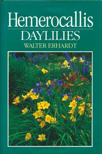 Hemerocallis: Daylilies,Used