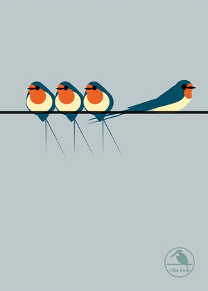 I Like Birds: Swallows On A Line Hardback Notebook