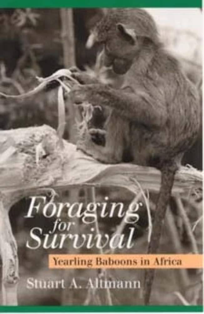 Foraging for Survival: Yearling Baboons in Africa,Used