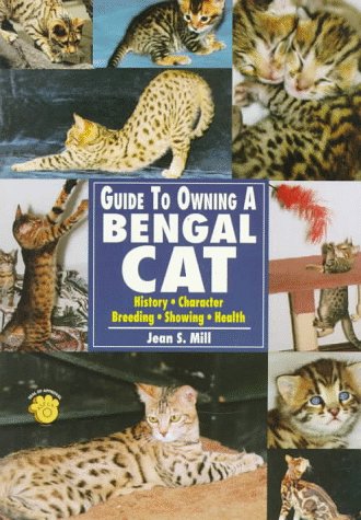 Guide to Owning a Bengal Cat,New