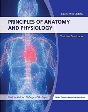 Anatomy & Physiology 14E f/ University of Akron with WileyPLUS Learning Space Card Set,Used