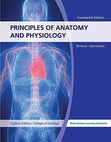 Anatomy & Physiology 14E f/ University of Akron with WileyPLUS Learning Space Card Set,Used