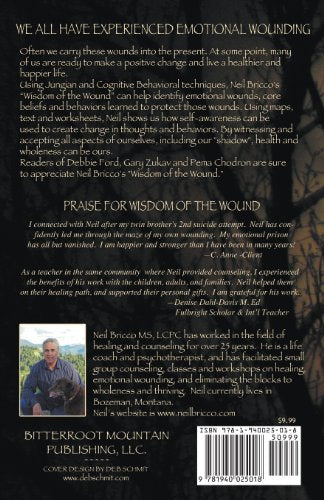 Wisdom of the Wound: Discovering a Path to Wholeness,Used