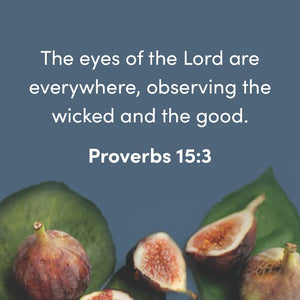 Amos  Bible Study Book with Video Access: An Invitation to the Good Life,Used