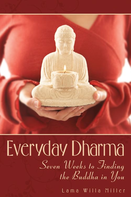 Everyday Dharma: Seven Weeks To Finding The Buddha In You,Used