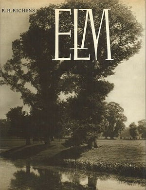 Elm,Used