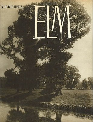 Elm,Used