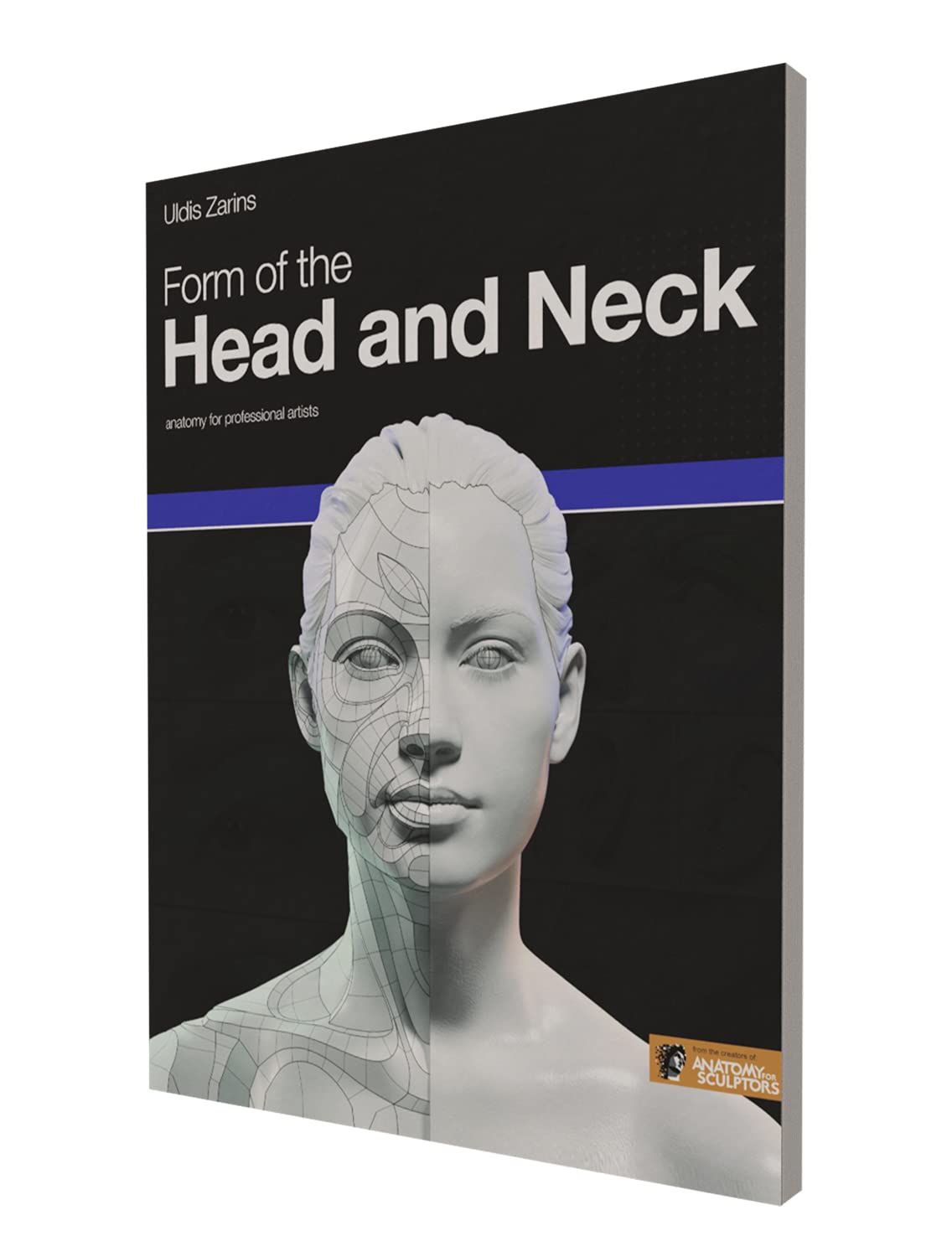 Form Of The Head And Neck-new