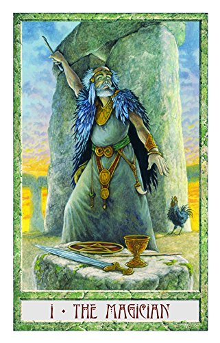 The Druid Plant Oracle: Working with the Magical Flora of the Druid Tradition (36 Cards and 144 Page Guidebook),Used